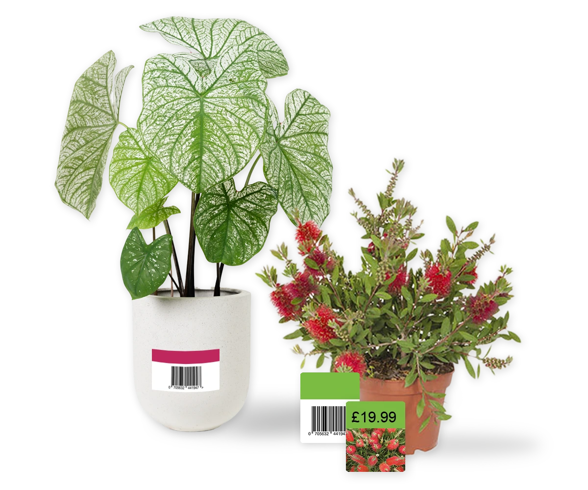custom labels